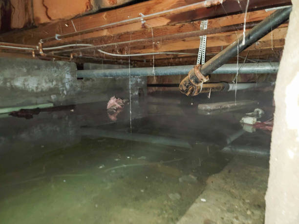  Silver Creek, NY Water damage restoration Pros