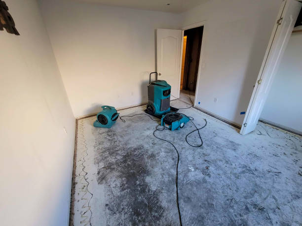 Best Flooded house restoration  in Silver Creek, NY