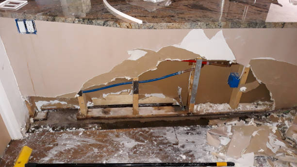 Best Flood damage cleanup  in Silver Creek, NY