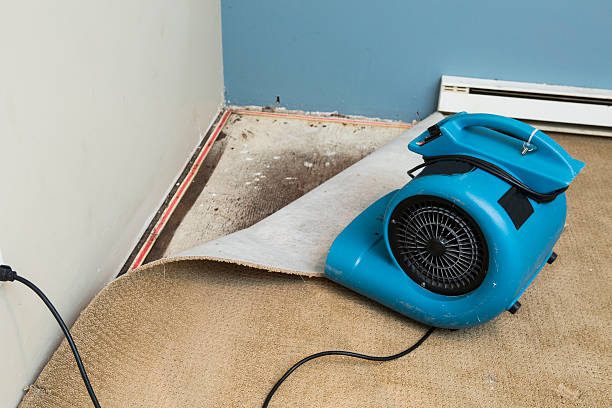 Best Sewage cleanup and water damage restoration  in Silver Creek, NY